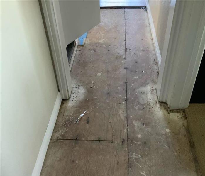 hallway after mitigated water damage